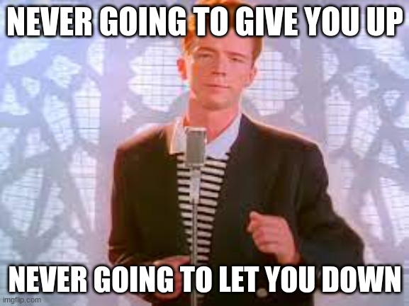NEVER GONNA GIVE U UP | NEVER GOING TO GIVE YOU UP; NEVER GOING TO LET YOU DOWN | image tagged in never gonna give u up | made w/ Imgflip meme maker