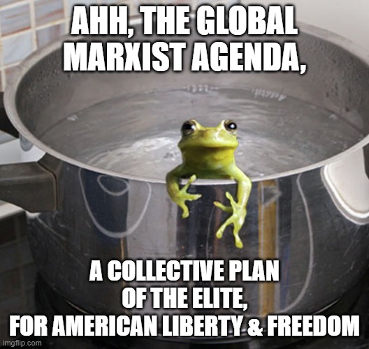 Baby BOOMER UTOPIAN Dream for younger generation in Action | AHH, THE GLOBAL MARXIST AGENDA, A COLLECTIVE PLAN 
OF THE ELITE,
FOR AMERICAN LIBERTY & FREEDOM | image tagged in frog in pot boiling water,john kerry,cultural marxism,democratic socialism,angela davis,transphobic | made w/ Imgflip meme maker