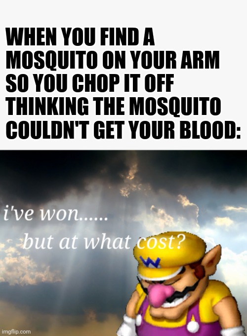 At least I defeated the mosquito | WHEN YOU FIND A MOSQUITO ON YOUR ARM SO YOU CHOP IT OFF THINKING THE MOSQUITO COULDN'T GET YOUR BLOOD: | image tagged in i've won but at what cost,stupid | made w/ Imgflip meme maker