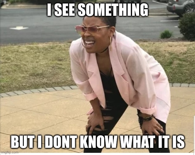 Me looking for | I SEE SOMETHING BUT I DONT KNOW WHAT IT IS | image tagged in me looking for | made w/ Imgflip meme maker