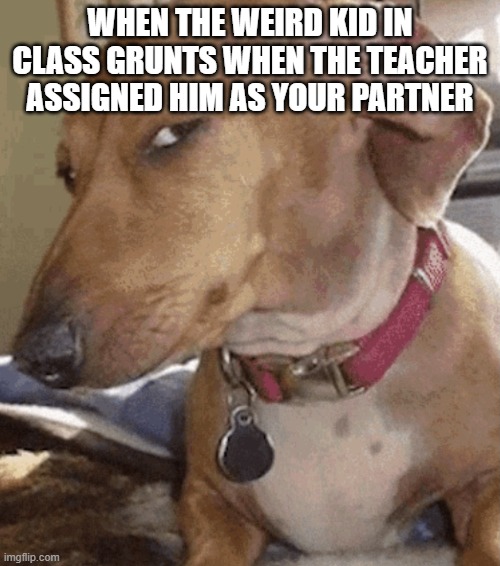 bro acts like he all that | WHEN THE WEIRD KID IN CLASS GRUNTS WHEN THE TEACHER ASSIGNED HIM AS YOUR PARTNER | image tagged in side eye dog | made w/ Imgflip meme maker