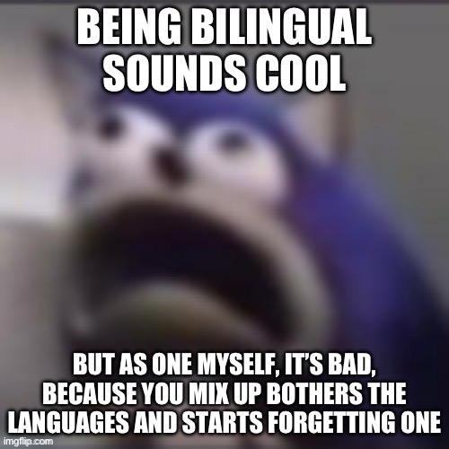 . | BEING BILINGUAL SOUNDS COOL; BUT AS ONE MYSELF, IT’S BAD, BECAUSE YOU MIX UP BOTHERS THE LANGUAGES AND STARTS FORGETTING ONE | image tagged in aaa | made w/ Imgflip meme maker