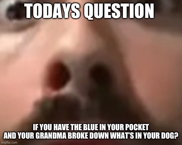 Answer | TODAYS QUESTION; IF YOU HAVE THE BLUE IN YOUR POCKET AND YOUR GRANDMA BROKE DOWN WHAT’S IN YOUR DOG? | image tagged in close up moist | made w/ Imgflip meme maker