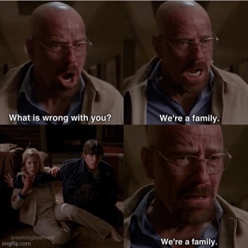 does anyone rember this scene | image tagged in what is wrong with you we're a family | made w/ Imgflip meme maker