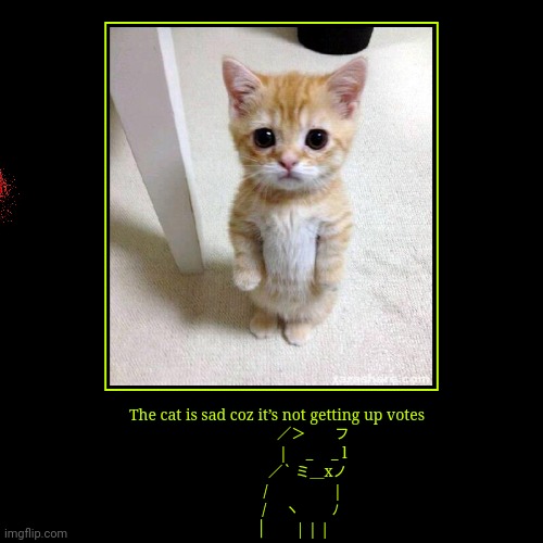 The cat is sad coz it’s not getting up votes
　　　　　／＞　　フ
　　　　　| 　_　 _ l
　 　　　／` ミ＿xノ
　　 　 /　　　 　 |
　　　 /　 ヽ　　 ﾉ
　 　 │　　| | | | | image tagged in funny,demotivationals | made w/ Imgflip demotivational maker