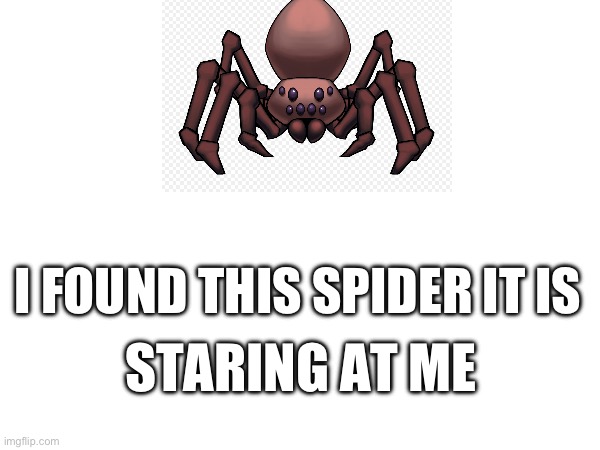 Spoder | I FOUND THIS SPIDER IT IS; STARING AT ME | image tagged in memes | made w/ Imgflip meme maker