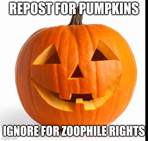 Pumpkin | REPOST FOR PUMPKINS; IGNORE FOR ZOOPHILE RIGHTS | image tagged in pumkin | made w/ Imgflip meme maker