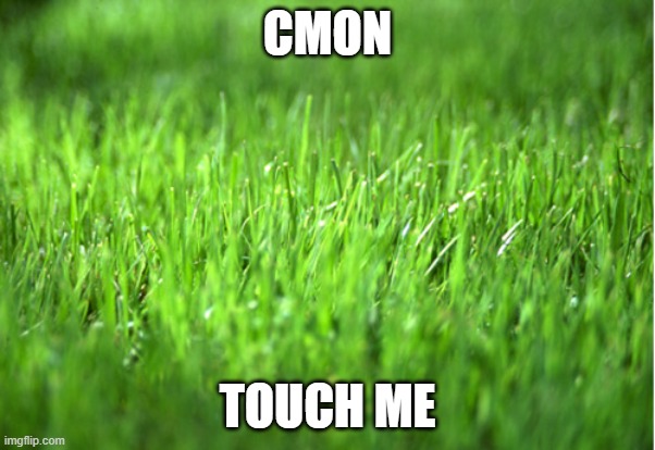 grass is greener | CMON TOUCH ME | image tagged in grass is greener | made w/ Imgflip meme maker