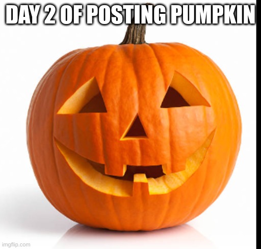pumpkin day 2 | DAY 2 OF POSTING PUMPKIN | image tagged in pumkin | made w/ Imgflip meme maker
