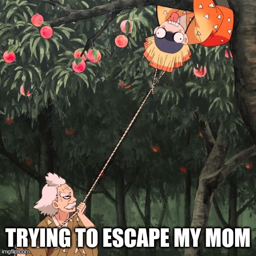 there is no escape... | TRYING TO ESCAPE MY MOM | image tagged in mom,demon slayer,zenitsu,funny,your mom | made w/ Imgflip meme maker