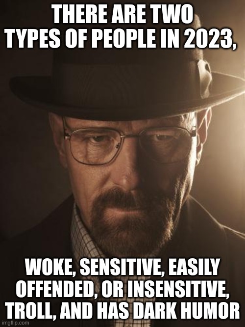 (I'm two) | THERE ARE TWO TYPES OF PEOPLE IN 2023, WOKE, SENSITIVE, EASILY OFFENDED, OR INSENSITIVE, TROLL, AND HAS DARK HUMOR | image tagged in walter white | made w/ Imgflip meme maker
