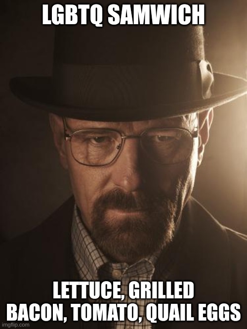 samwich | LGBTQ SAMWICH; LETTUCE, GRILLED BACON, TOMATO, QUAIL EGGS | image tagged in walter white | made w/ Imgflip meme maker