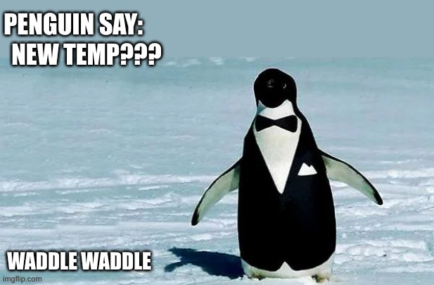 cocky_balls announcement temp | NEW TEMP??? WADDLE WADDLE | image tagged in cocky_balls announcement temp | made w/ Imgflip meme maker