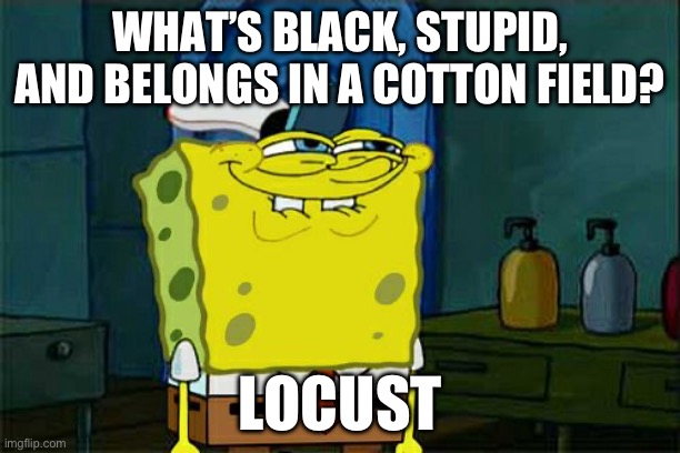 I’m a genius | WHAT’S BLACK, STUPID, AND BELONGS IN A COTTON FIELD? LOCUST | image tagged in joke,cursed,dark humor | made w/ Imgflip meme maker