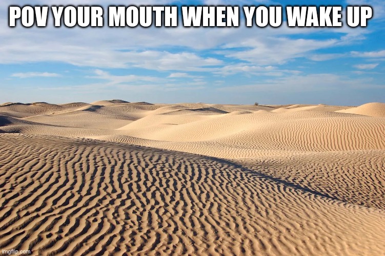 True | POV YOUR MOUTH WHEN YOU WAKE UP | image tagged in funny | made w/ Imgflip meme maker
