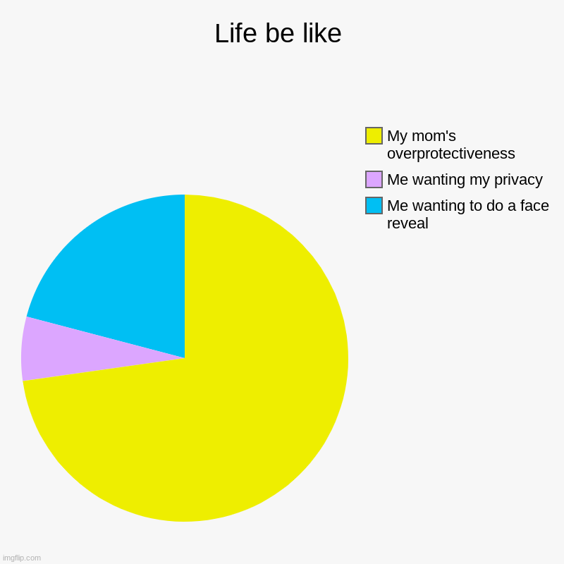 Life be like | Me wanting to do a face reveal, Me wanting my privacy, My mom's overprotectiveness | image tagged in charts,pie charts | made w/ Imgflip chart maker