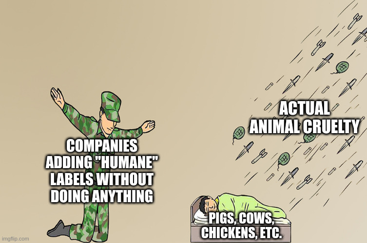 These labels mean much less than you'd think | ACTUAL ANIMAL CRUELTY; COMPANIES ADDING "HUMANE" LABELS WITHOUT DOING ANYTHING; PIGS, COWS, CHICKENS, ETC. | image tagged in soldier not protecting child,cruel,company,capitalism,animals | made w/ Imgflip meme maker