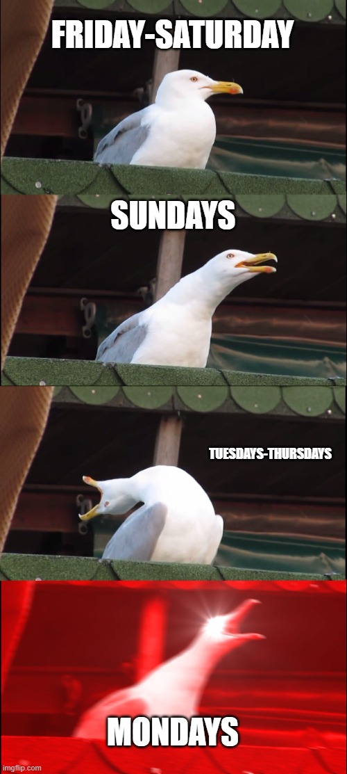 mondays are the worst | FRIDAY-SATURDAY; SUNDAYS; TUESDAYS-THURSDAYS; MONDAYS | image tagged in memes,inhaling seagull | made w/ Imgflip meme maker