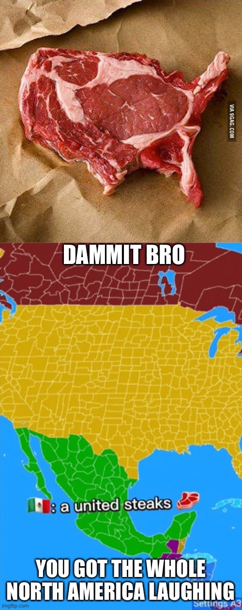 bro. | image tagged in united steaks og america,dammit bro you got the whole north america laughing,so true memes,united steak of ohio | made w/ Imgflip meme maker
