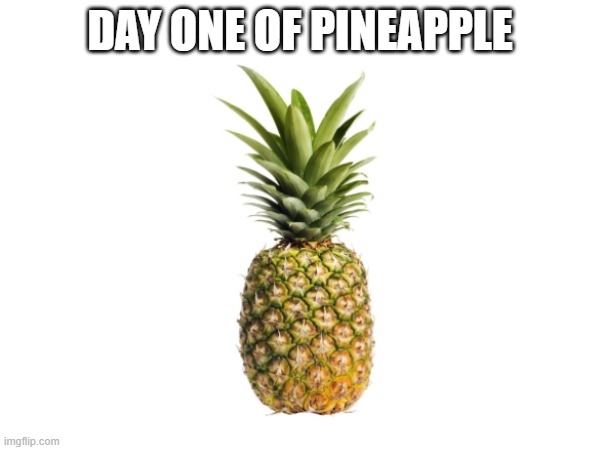 Pineapple | DAY ONE OF PINEAPPLE | image tagged in pineapple | made w/ Imgflip meme maker
