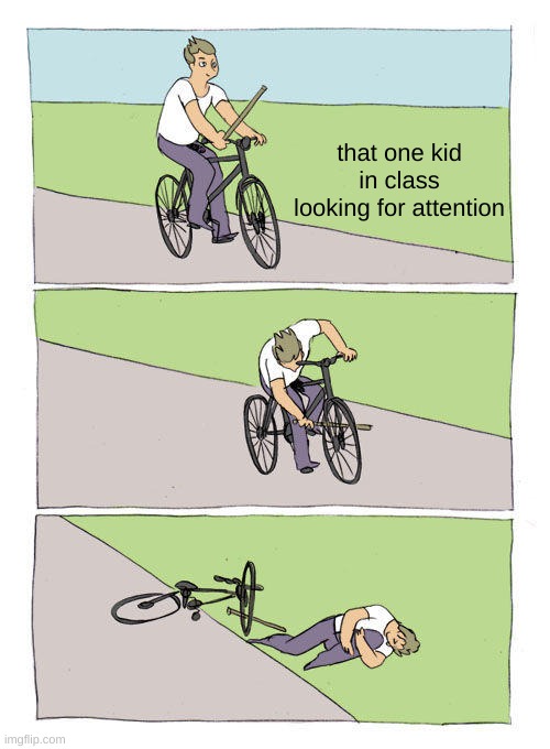 you just want attention | that one kid in class looking for attention | image tagged in memes,bike fall | made w/ Imgflip meme maker