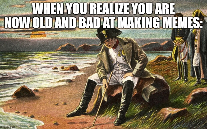 I am disappointed at myself | WHEN YOU REALIZE YOU ARE NOW OLD AND BAD AT MAKING MEMES: | image tagged in napoleon,fun | made w/ Imgflip meme maker