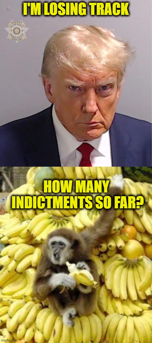 Are we a Banana Republic yet? | I'M LOSING TRACK; HOW MANY 
INDICTMENTS SO FAR? | made w/ Imgflip meme maker
