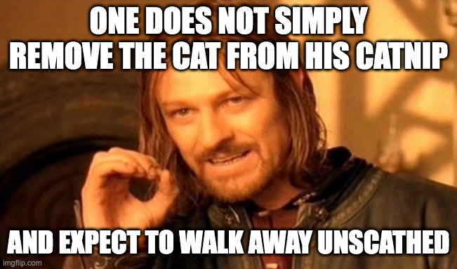 One Does Not Simply Meme | ONE DOES NOT SIMPLY REMOVE THE CAT FROM HIS CATNIP; AND EXPECT TO WALK AWAY UNSCATHED | image tagged in memes,one does not simply | made w/ Imgflip meme maker