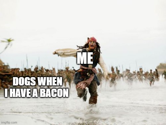 it's MY BACON! | ME; DOGS WHEN I HAVE A BACON | image tagged in memes,jack sparrow being chased,bacon | made w/ Imgflip meme maker