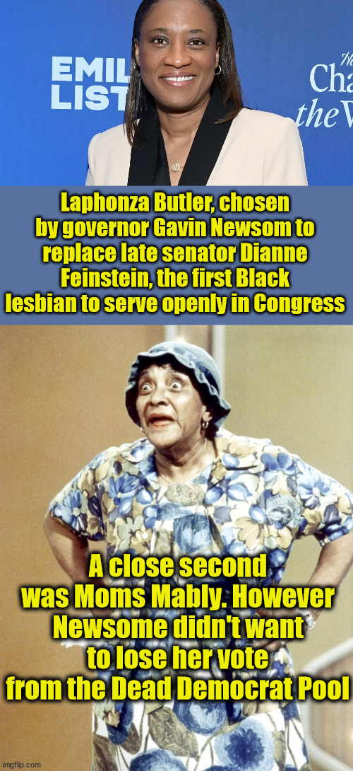 Checking Boxes | Laphonza Butler, chosen by governor Gavin Newsom to replace late senator Dianne Feinstein, the first Black lesbian to serve openly in Congress; A close second was Moms Mably. However Newsome didn't want to lose her vote from the Dead Democrat Pool | image tagged in identity politics,liberal logic,democrats | made w/ Imgflip meme maker