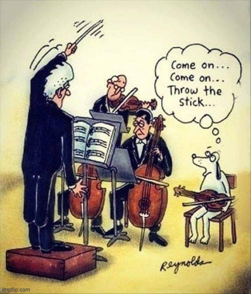 Ironically, the song was "Go Fetch, You Stinky Hound." | image tagged in vince vance,conductor,baton,dogs,memes,comics/cartoons | made w/ Imgflip meme maker