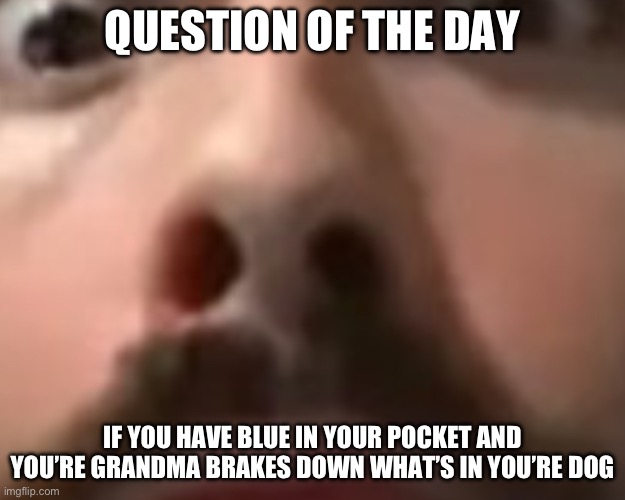 Close up moist | QUESTION OF THE DAY; IF YOU HAVE BLUE IN YOUR POCKET AND YOU’RE GRANDMA BRAKES DOWN WHAT’S IN YOU’RE DOG | image tagged in close up moist | made w/ Imgflip meme maker
