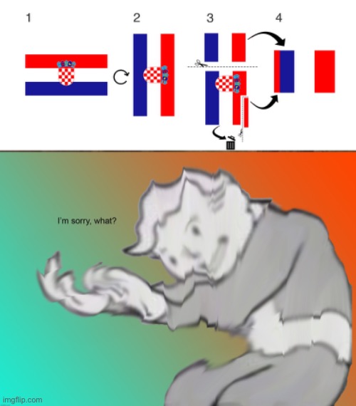 Bro rlly cut out Croatia flag to France flag | image tagged in im sorry what,what | made w/ Imgflip meme maker