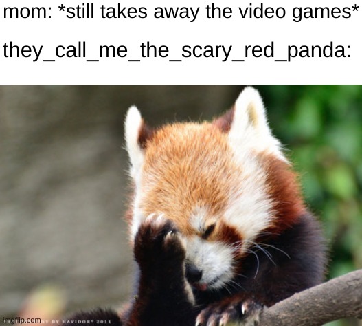 mom: *still takes away the video games* they_call_me_the_scary_red_panda: | made w/ Imgflip meme maker
