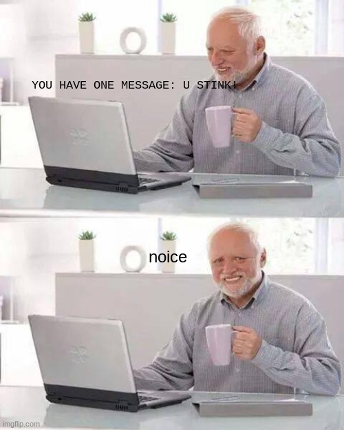 Meme Comic #11 | YOU HAVE ONE MESSAGE: U STINK! noice | image tagged in memes,hide the pain harold | made w/ Imgflip meme maker