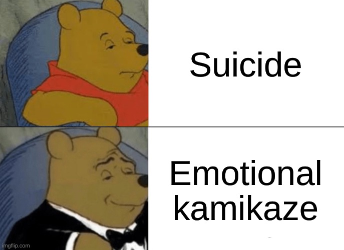 Some dumb idea i had when i was like 9 | Suicide; Emotional kamikaze | image tagged in memes,tuxedo winnie the pooh | made w/ Imgflip meme maker