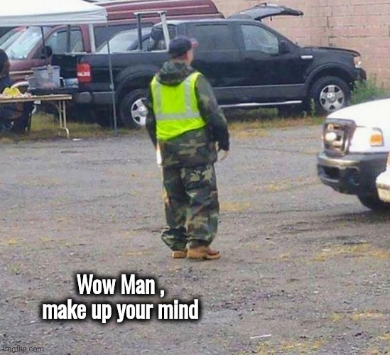 Hiding in Plain Sight | Wow Man , make up your mind | image tagged in camouflage,well yes but actually no,visible confusion,invisible,ooo you almost had it | made w/ Imgflip meme maker