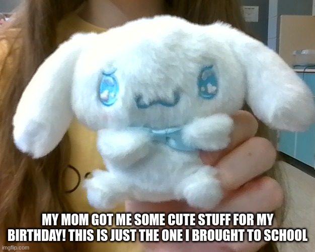 I also have a my melody and kuromi :D | MY MOM GOT ME SOME CUTE STUFF FOR MY BIRTHDAY! THIS IS JUST THE ONE I BROUGHT TO SCHOOL | image tagged in sanrio | made w/ Imgflip meme maker