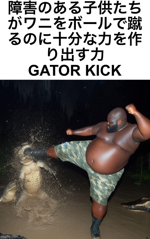 障害のある子供たち
がワニをボールで蹴
るのに十分な力を作
り出す力
GATOR KICK | made w/ Imgflip meme maker