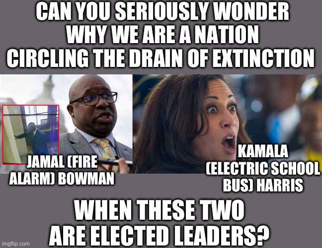 nope | CAN YOU SERIOUSLY WONDER WHY WE ARE A NATION CIRCLING THE DRAIN OF EXTINCTION; KAMALA (ELECTRIC SCHOOL BUS) HARRIS; WHEN THESE TWO ARE ELECTED LEADERS? JAMAL (FIRE ALARM) BOWMAN | image tagged in jamal bowman,kamala harriss | made w/ Imgflip meme maker