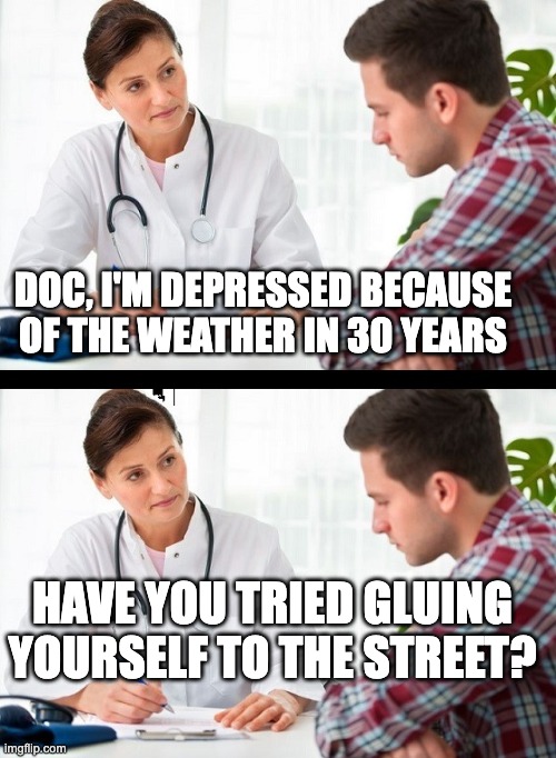 Street Activism | DOC, I'M DEPRESSED BECAUSE OF THE WEATHER IN 30 YEARS; HAVE YOU TRIED GLUING YOURSELF TO THE STREET? | image tagged in doctor and patient | made w/ Imgflip meme maker