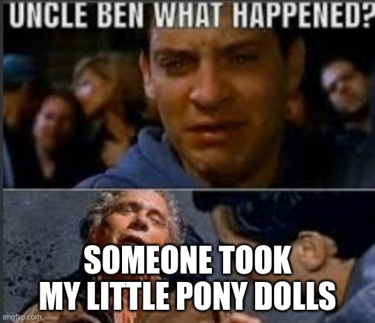 Uncle ben what happened | SOMEONE TOOK MY LITTLE PONY DOLLS | image tagged in uncle ben what happened | made w/ Imgflip meme maker