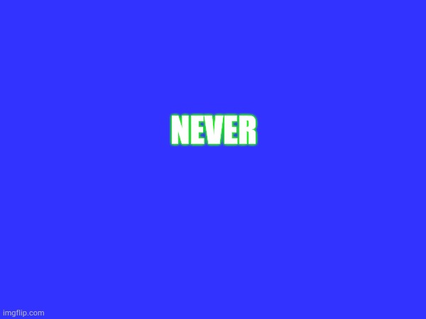 NEVER | made w/ Imgflip meme maker