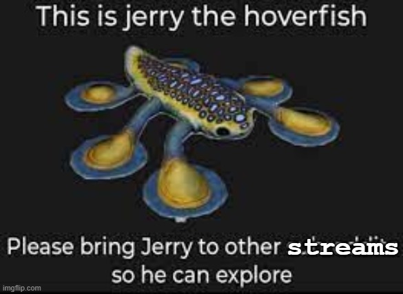 comment the stream you sent jerry to so I can keep a tab on all the places he's been | streams | image tagged in jerry the hoverfish,pls he wants to explore | made w/ Imgflip meme maker