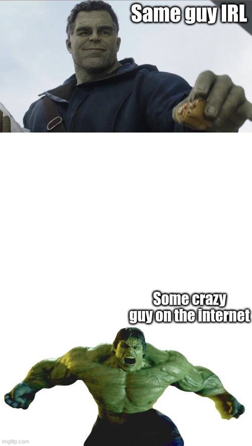 the internet | Same guy IRL; Some crazy guy on the internet | image tagged in hulk,taco,hulk taco | made w/ Imgflip meme maker