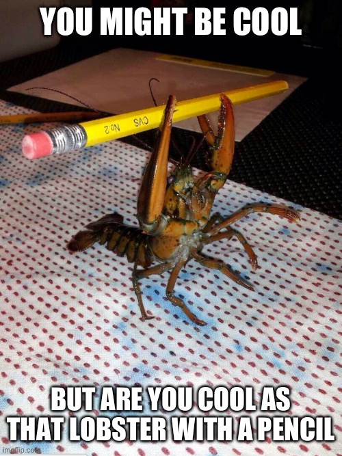 Lobster the Rockster (REAL!!!!!!!) | YOU MIGHT BE COOL; BUT ARE YOU COOL AS THAT LOBSTER WITH A PENCIL | image tagged in lobster the rockster | made w/ Imgflip meme maker