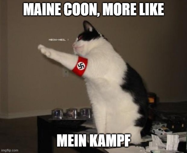 Hail Kitler! | MAINE COON, MORE LIKE; MEIN KAMPF | image tagged in hitler cat,cute cat,funny,memes,nazi,oh wow are you actually reading these tags | made w/ Imgflip meme maker