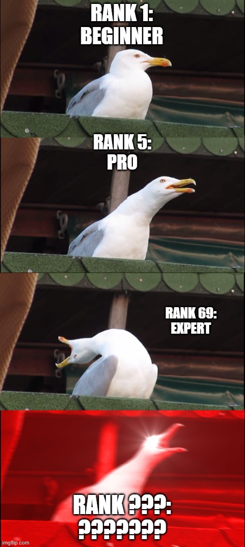You Rank is... | RANK 1:
BEGINNER; RANK 5:
PRO; RANK 69:
EXPERT; RANK ???:
??????? | image tagged in memes,inhaling seagull | made w/ Imgflip meme maker