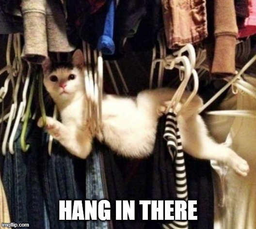 New Version of an Old Trope | HANG IN THERE | image tagged in cats | made w/ Imgflip meme maker