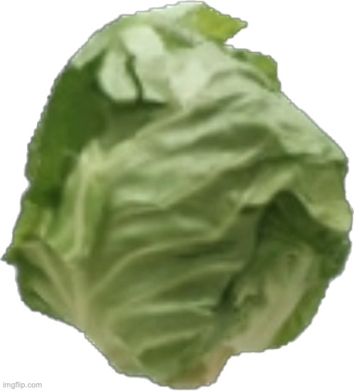 cabag | image tagged in cabag | made w/ Imgflip meme maker